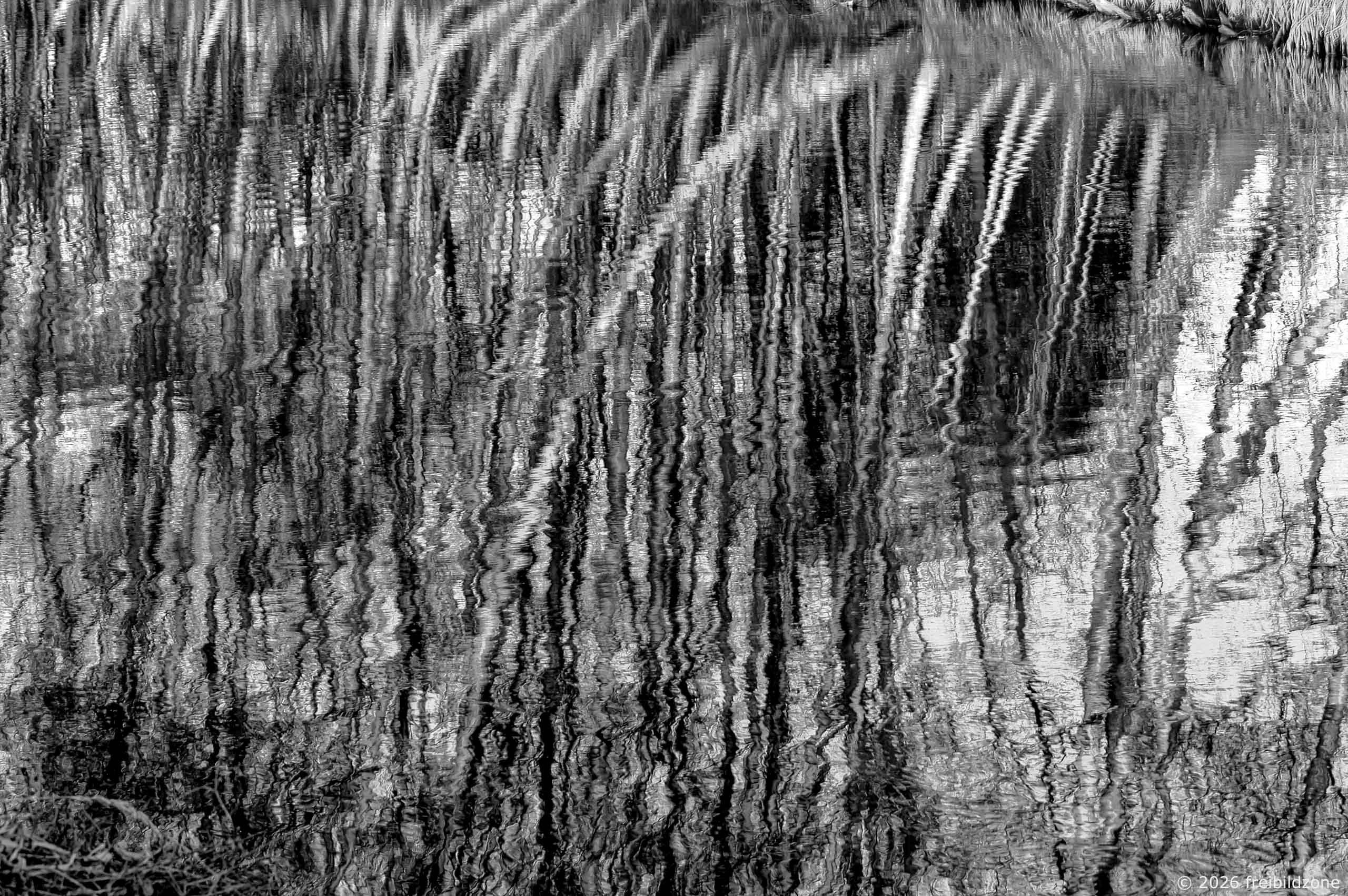 Kapillarwellen, Pfefferfließ, Nuthetal