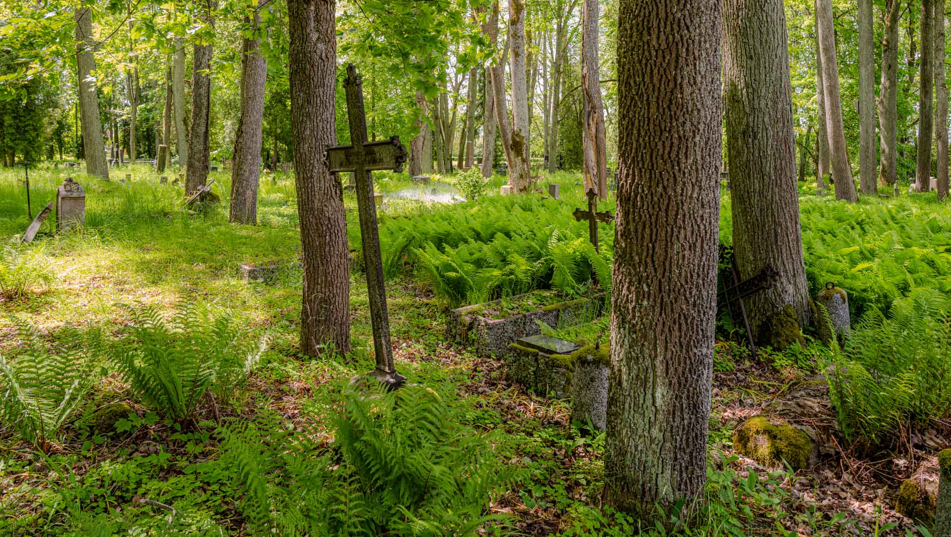 Kreuze auf dem Waldfriedhof in Cēsis