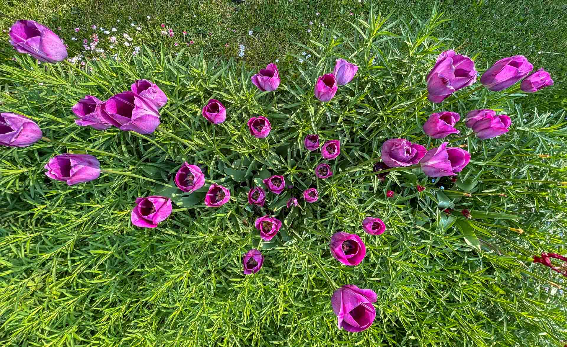 Kuus Tabu, Landhausgarten