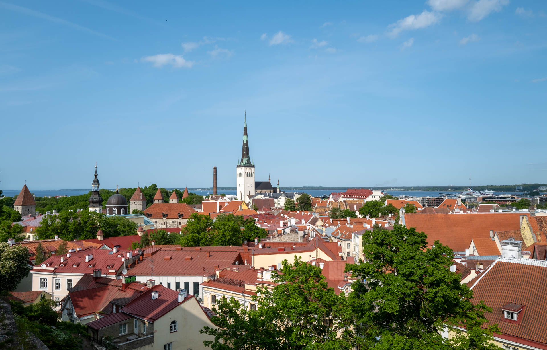Stadtblick vom Kohtuotsa Aussichtspunkt