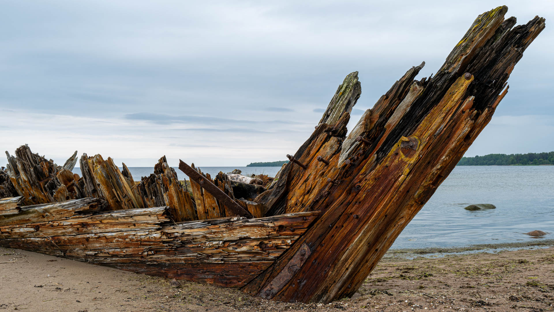 Schiffswrack bei Loksa