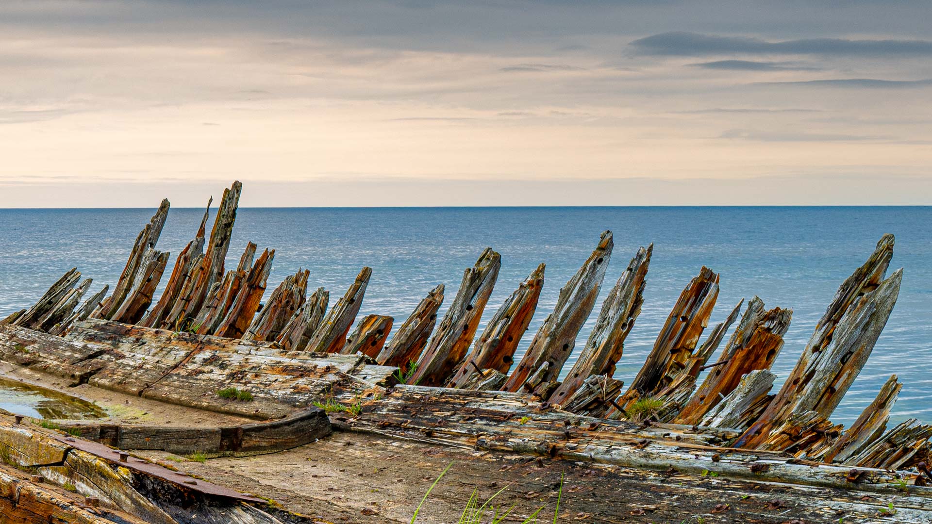 Schiffswrack bei Loksa