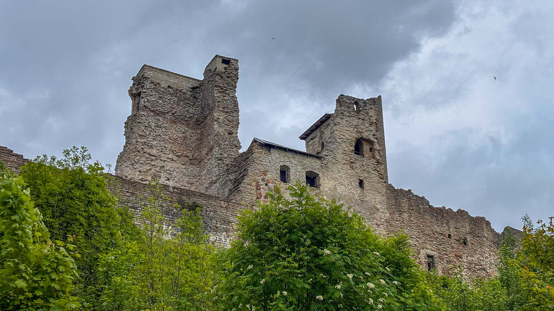 Burg Wesenberg (Rakvere)