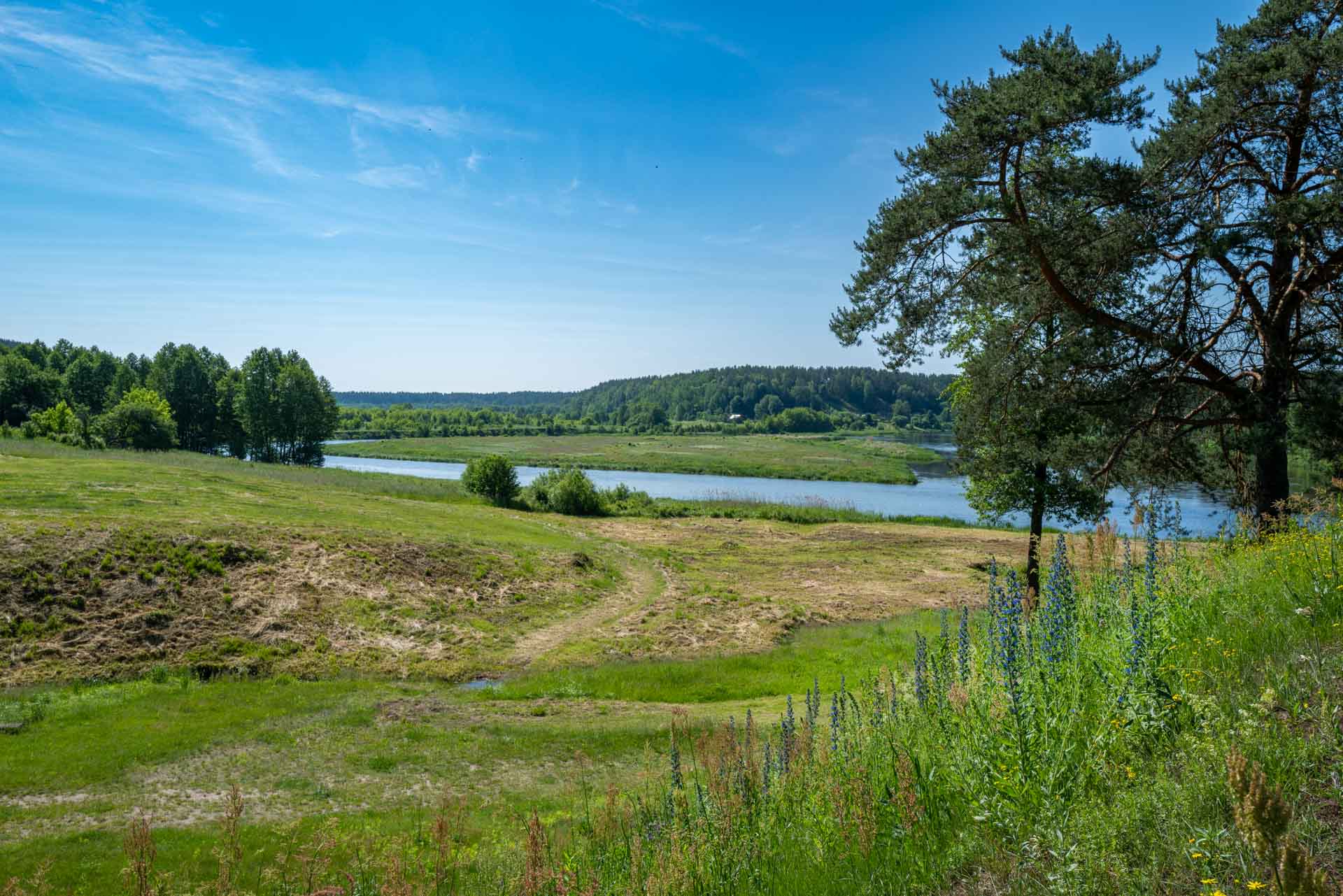 Blick von Merkinė mound