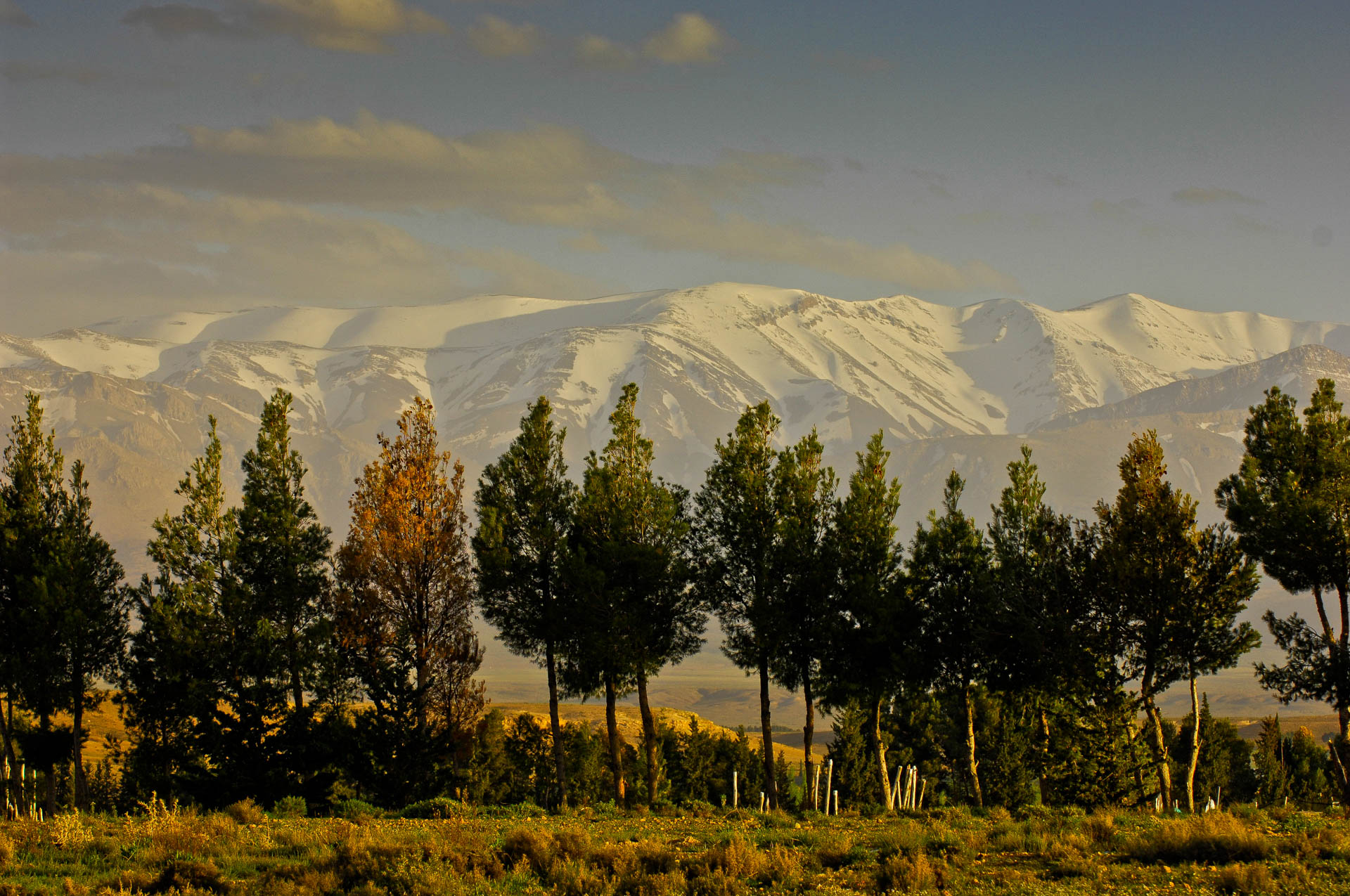 The High Atlas from Zaida