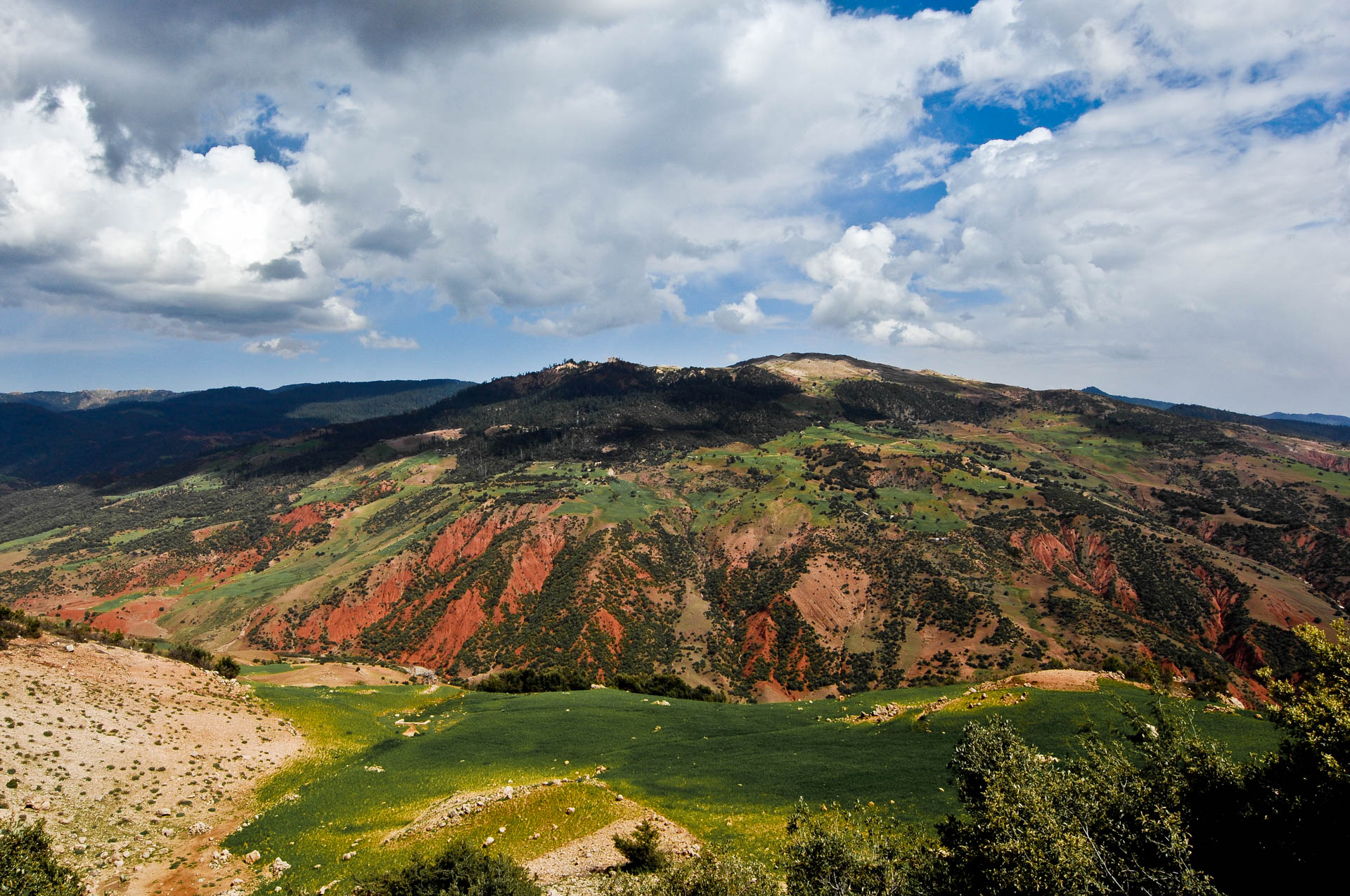 Aguelma Azigza National Park