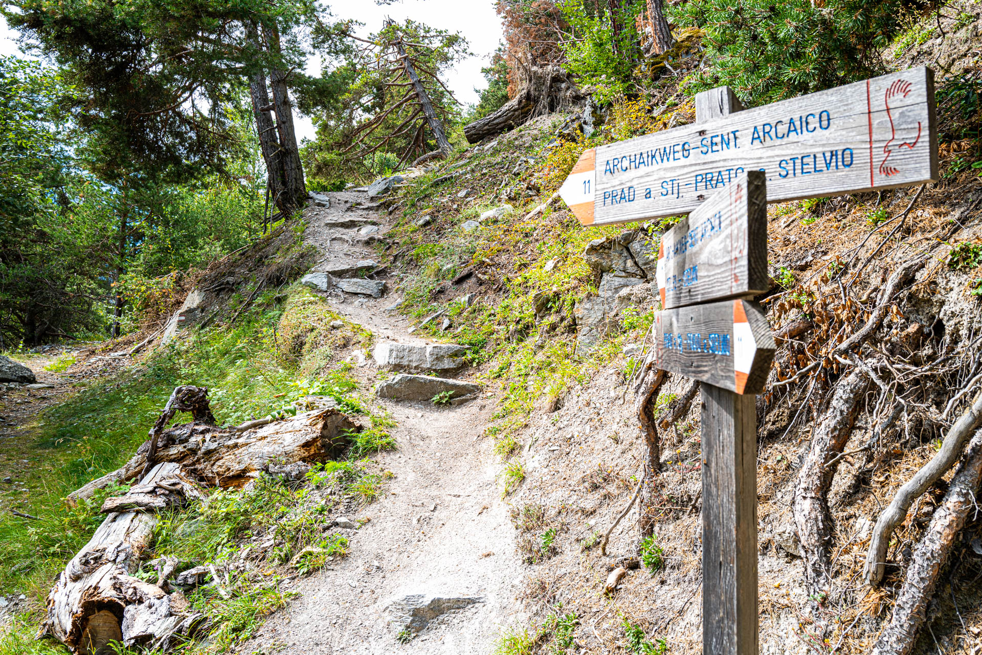 Auf dem Archaikweg Richtung Prad