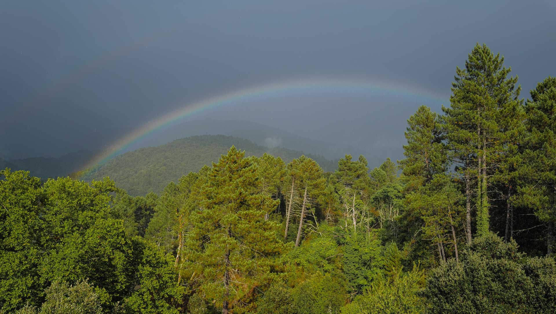 Regenboden über Soccia