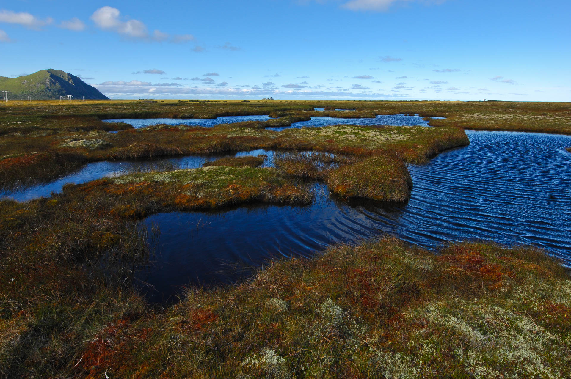 Slight winds over the swamps of Andøya