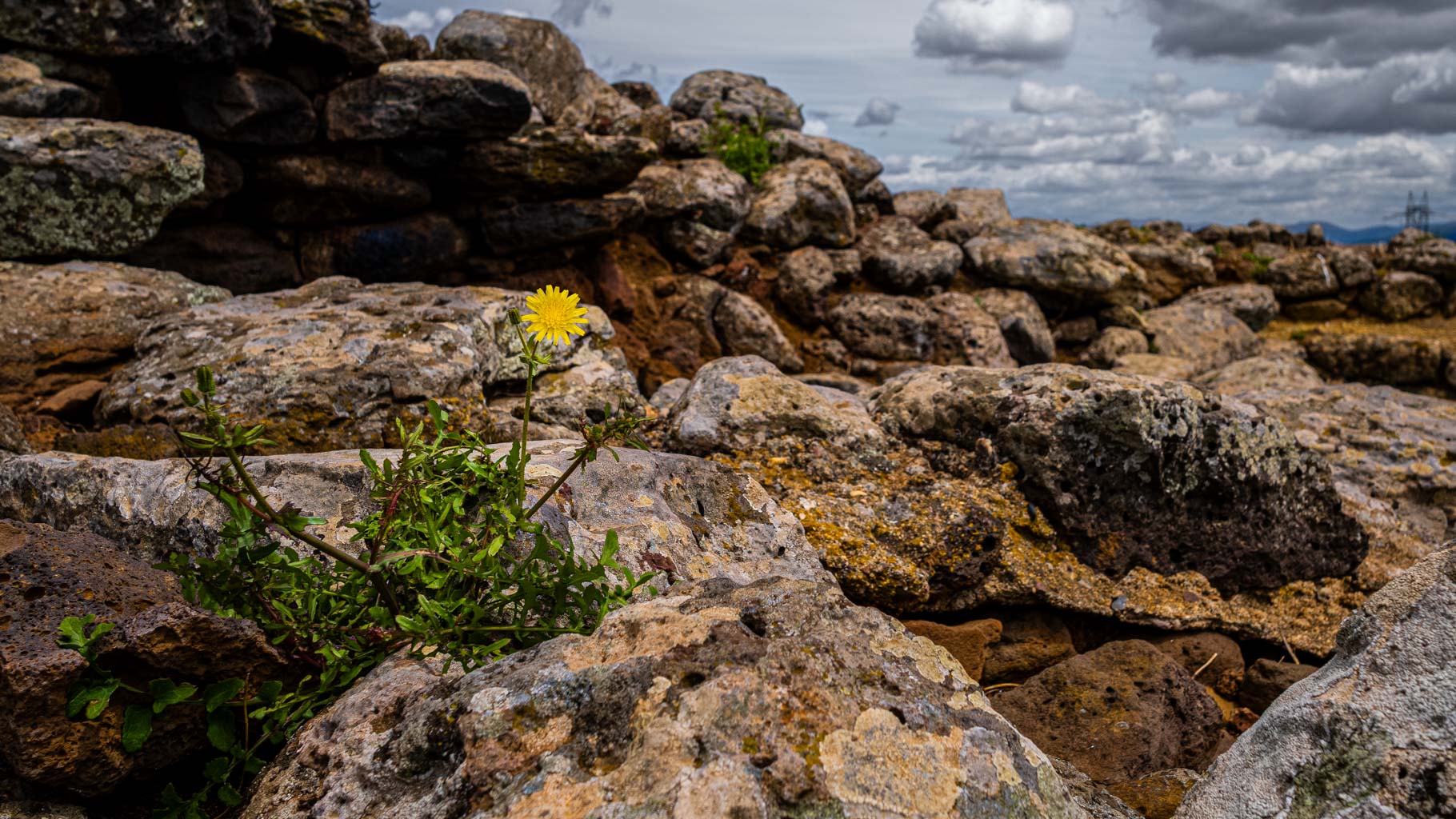 Auf dem Turm, Nuraghe Losa