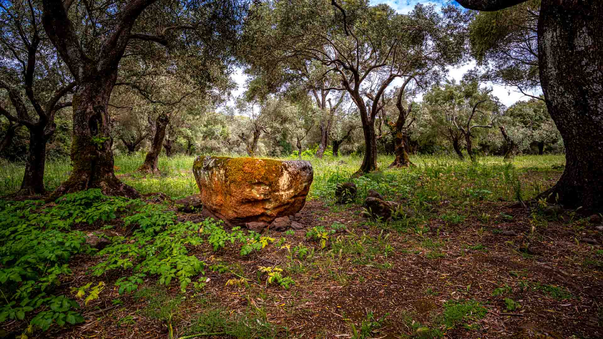 Nuraghensiedlung, Santa Cristina