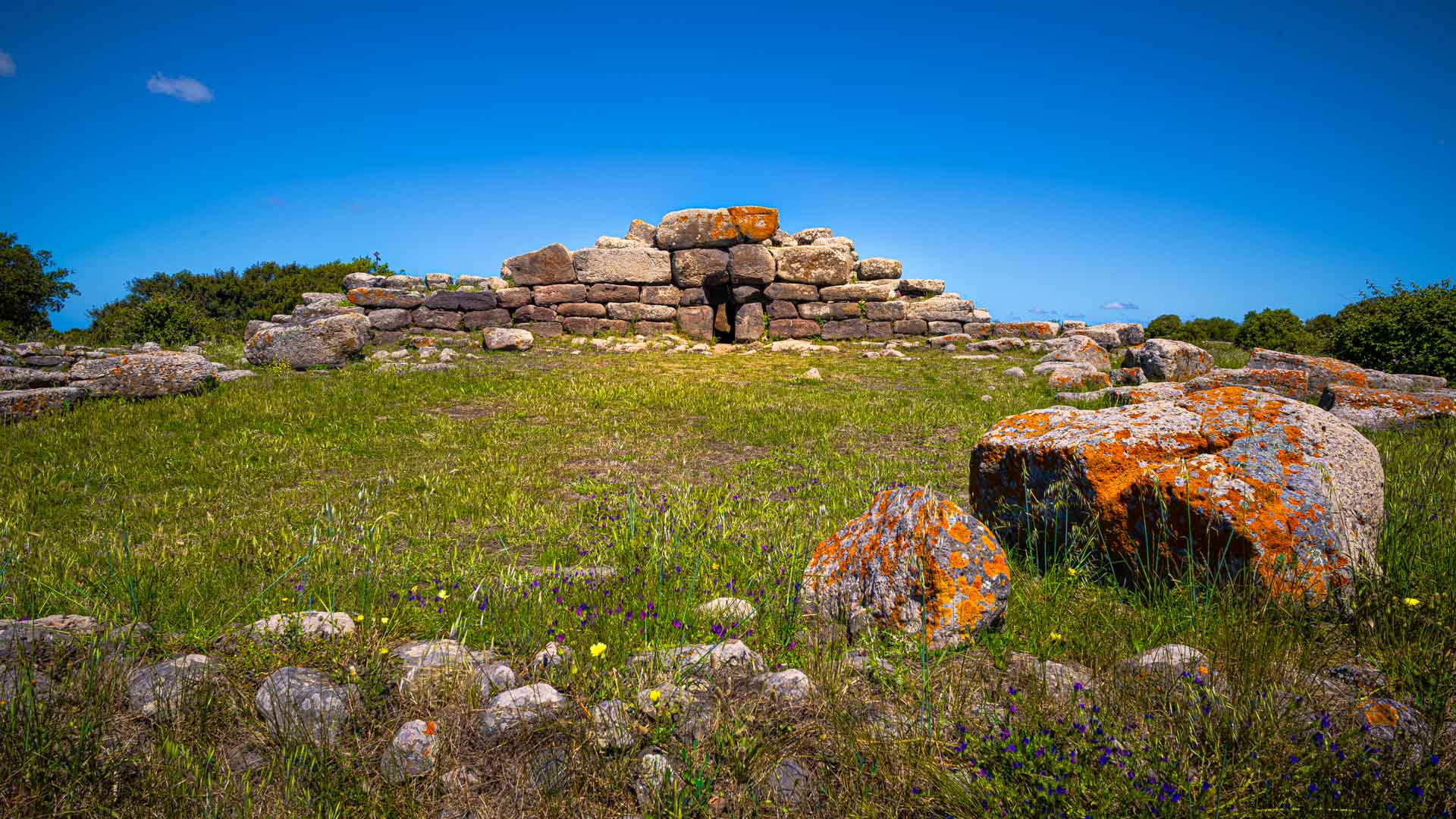 Tomba dei Giganti Sa Domu 'e S'Orcu, Caloplaca Flechten