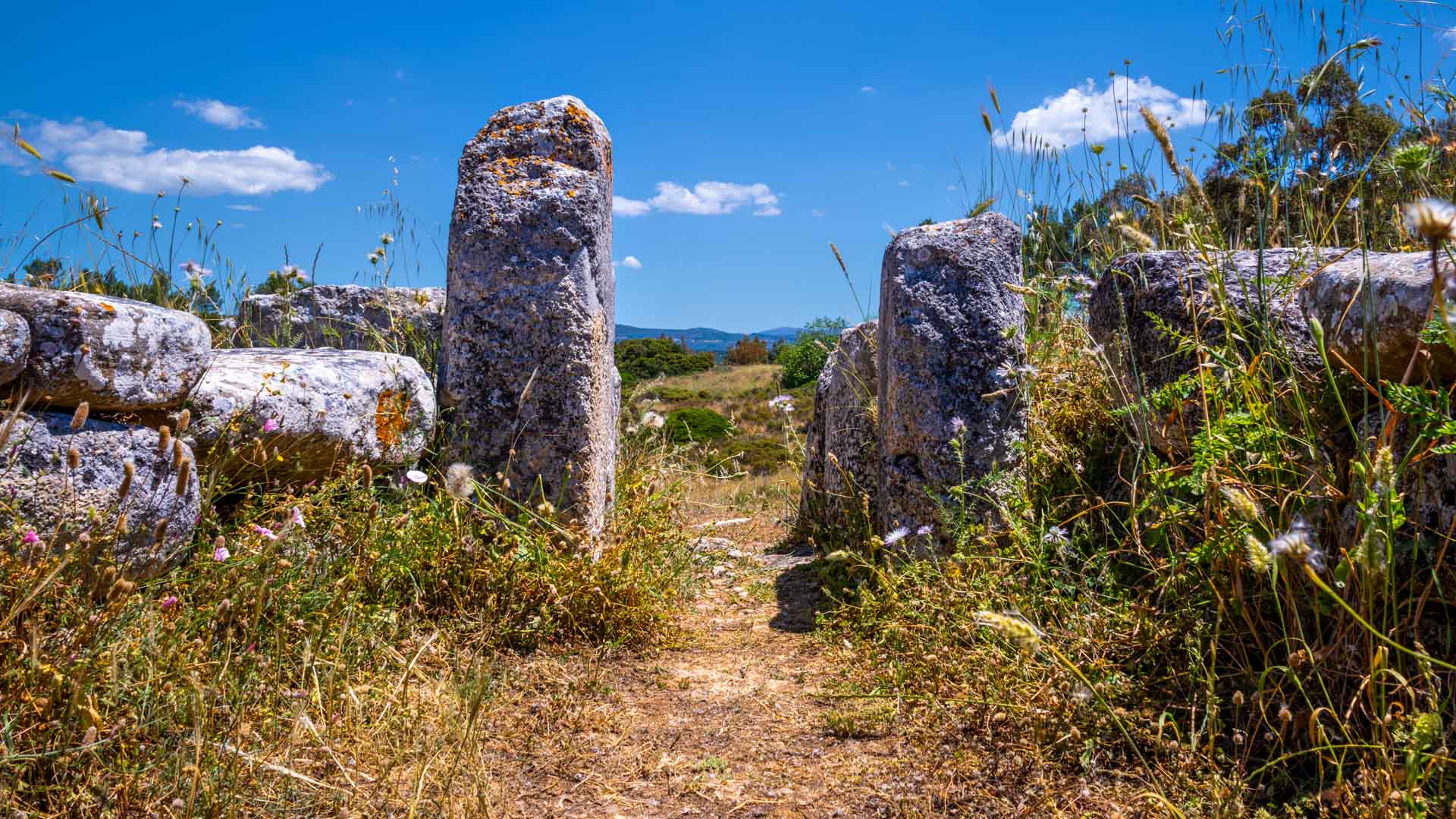 Tomba dei giganti di Aiodda