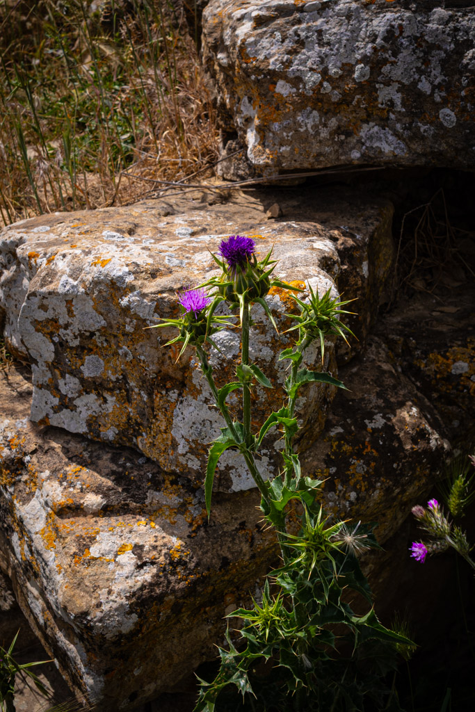 Nuraghe Santu Millanu