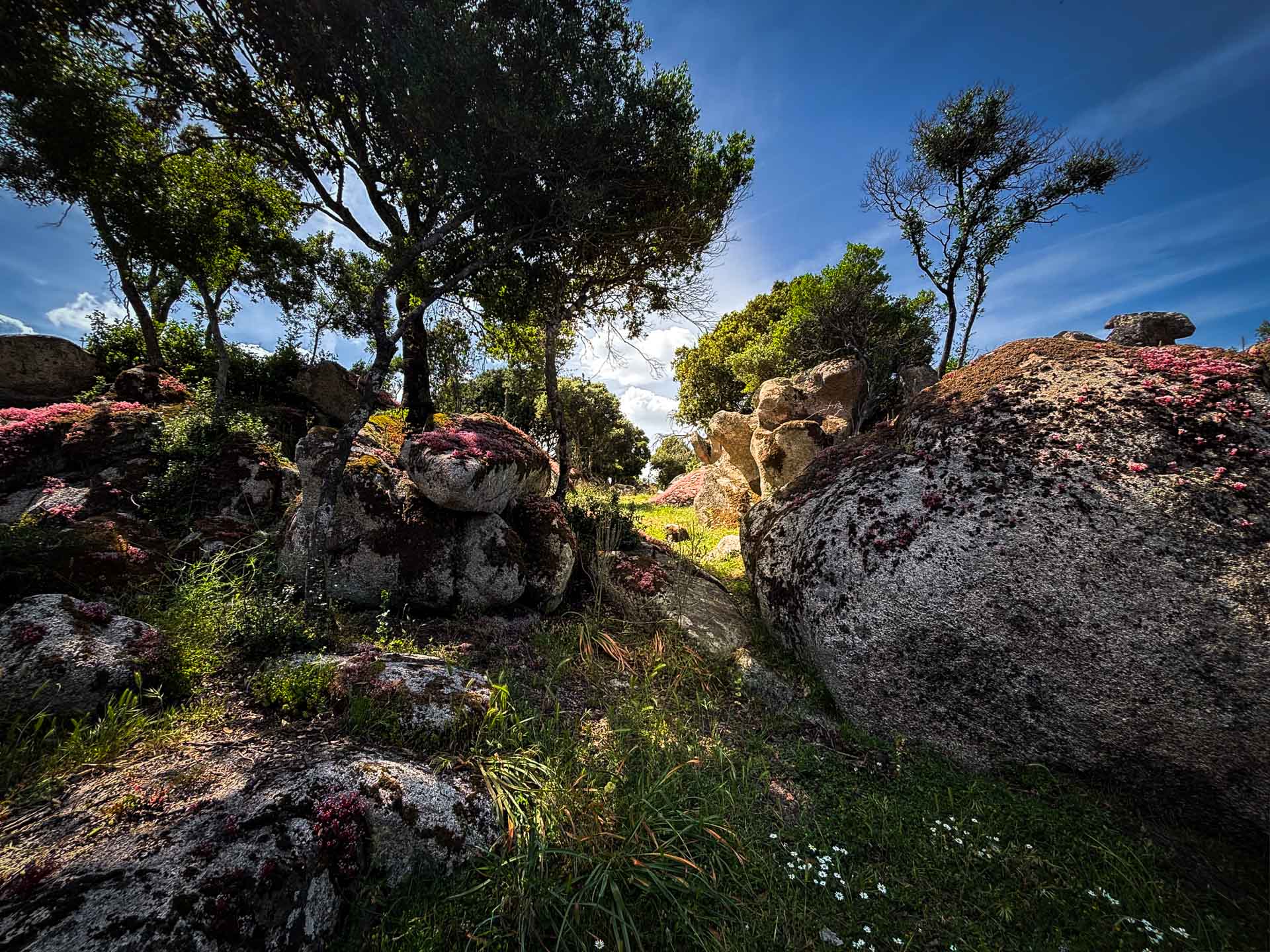 Mystische Landschaft am Domus de janas Ludurru