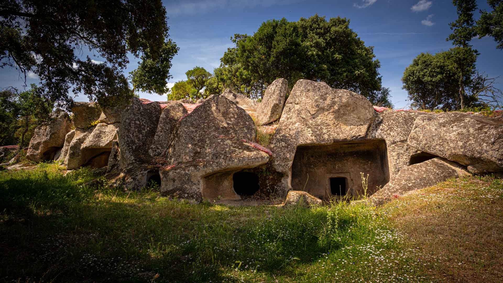 Necropoli Domus de janas Ludurru