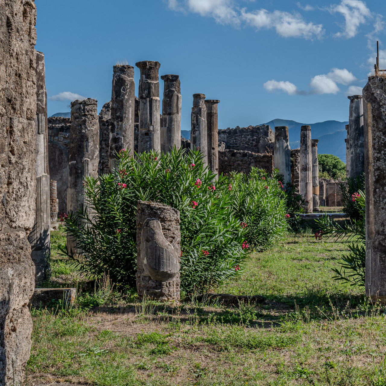 Garten der Casa Arianna