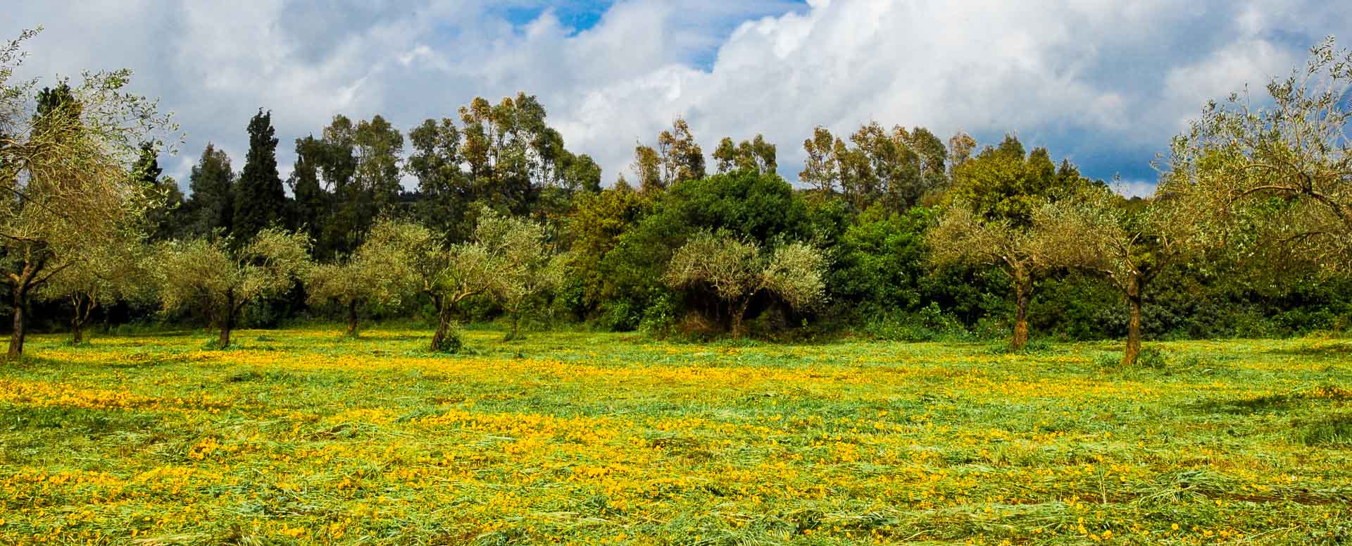 Southern Sardinia