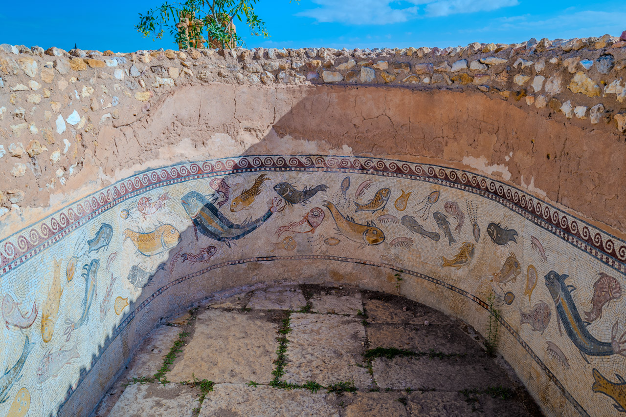 Fischmosaik, Bäder von Sufetula