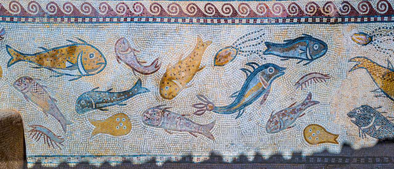 Fischmosaik, Bäder von Sufetula