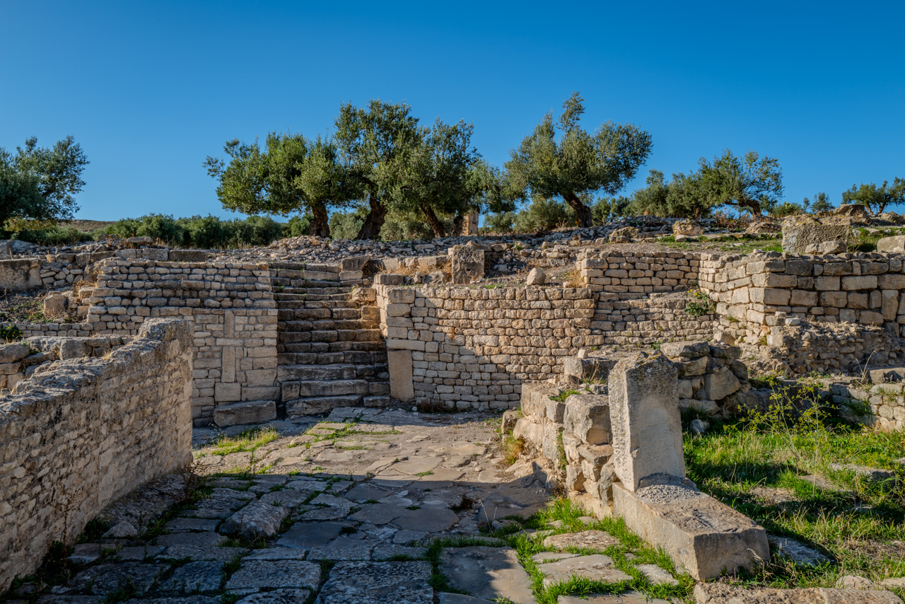 Treppe zum Olivenhain