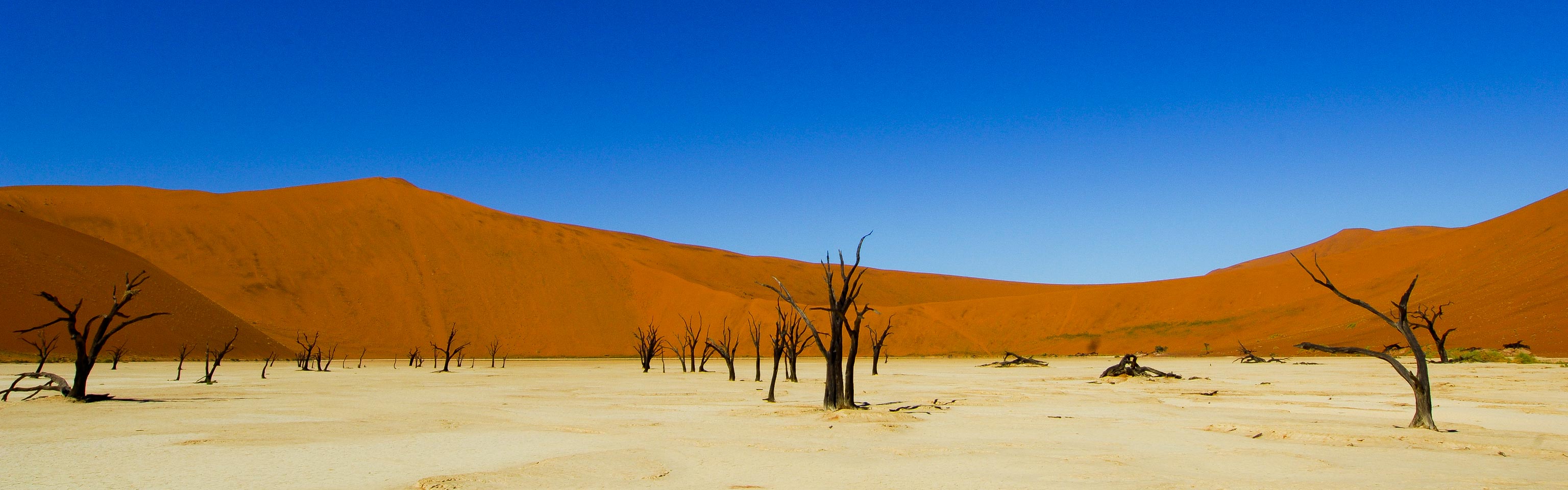 Sossusvlei, dead vlei, Namibia