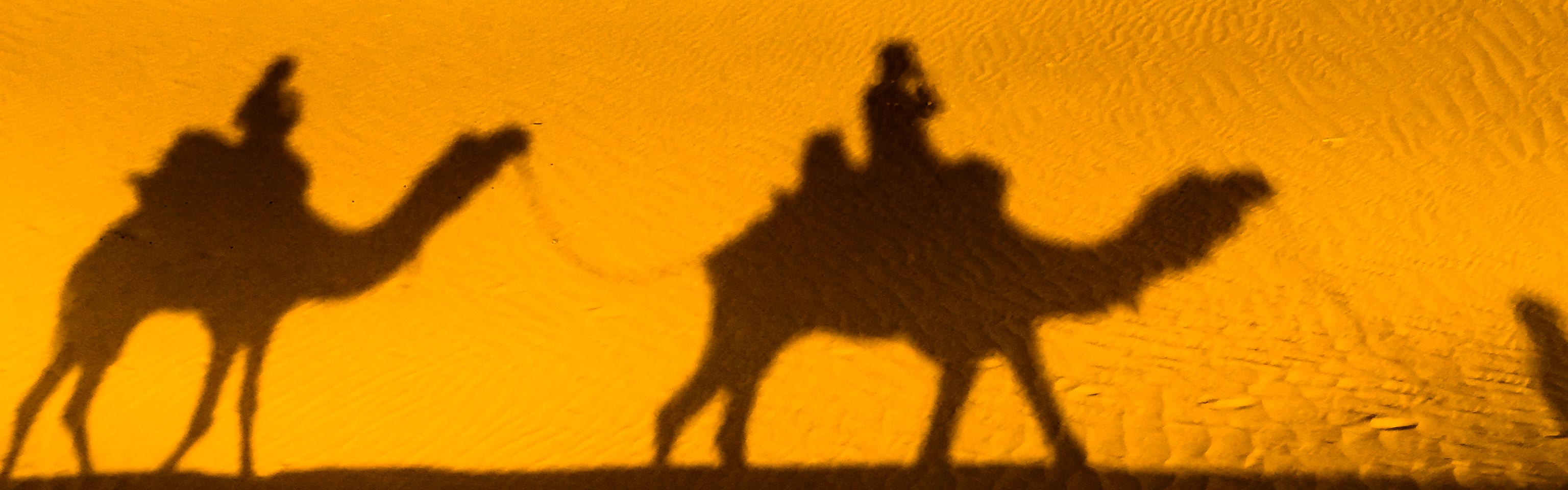 Thar Desert, Rajasthan, India