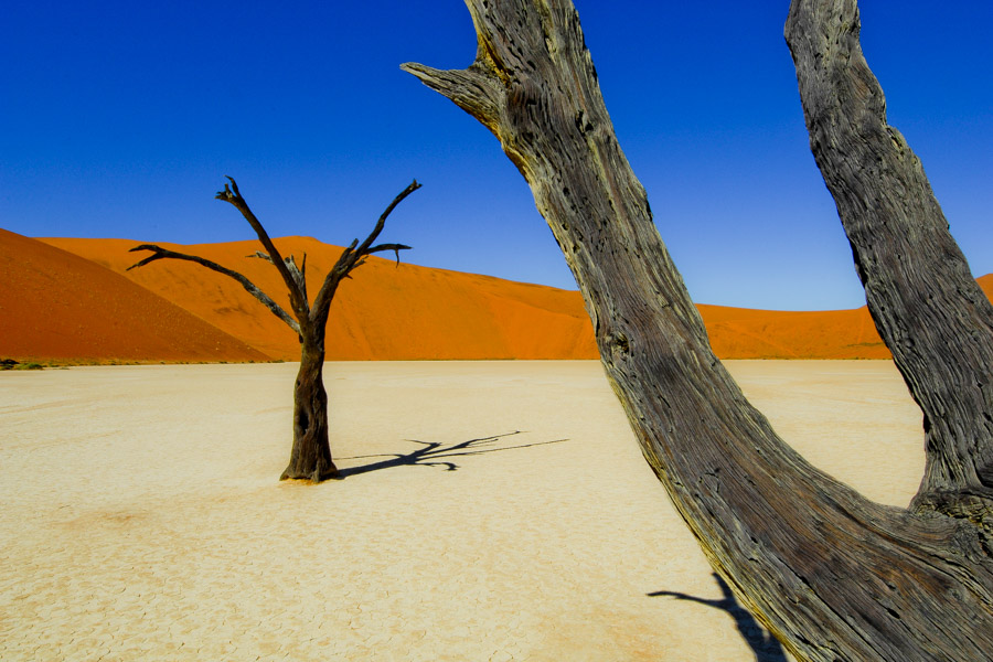 Sossusvlei, dead vlei, Namibia