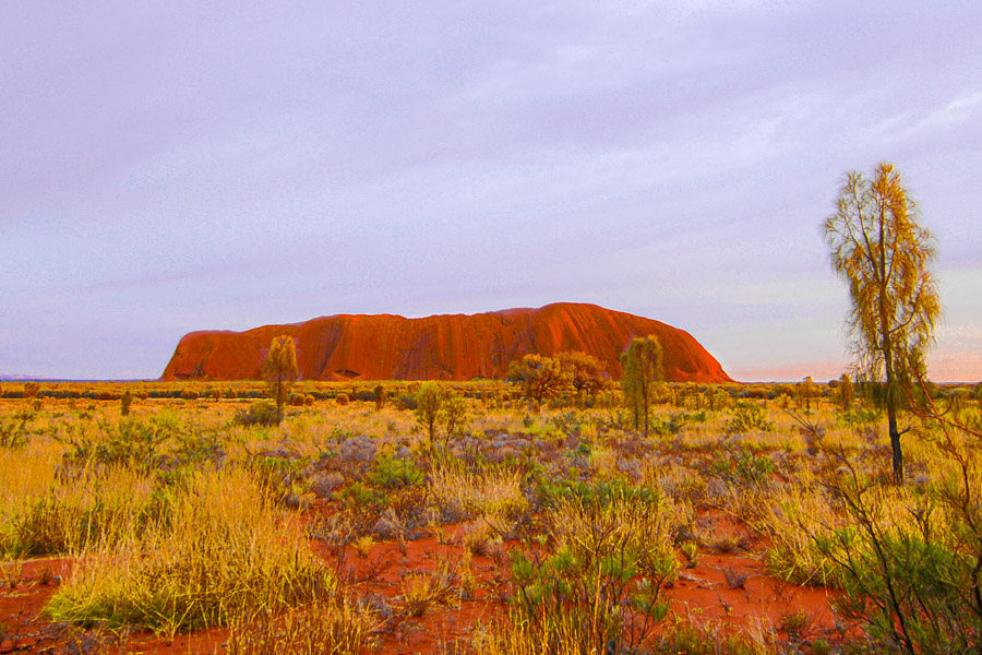 The Uluru at sunrise