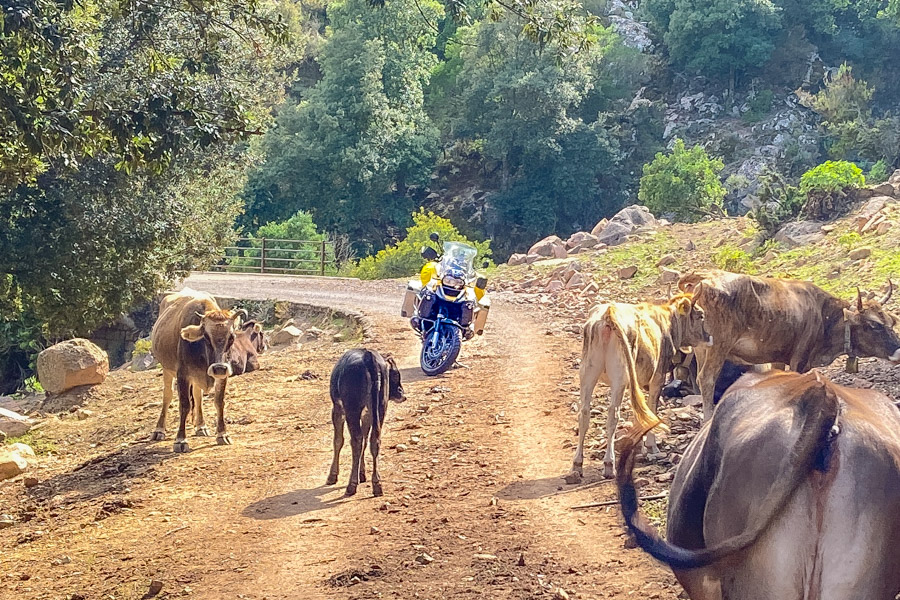 Die alte Straße nach Talana (gesperrt), Sardinien