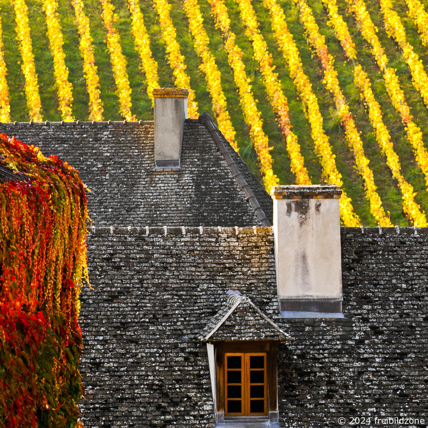 Côte d'or, France Côte d'or, France