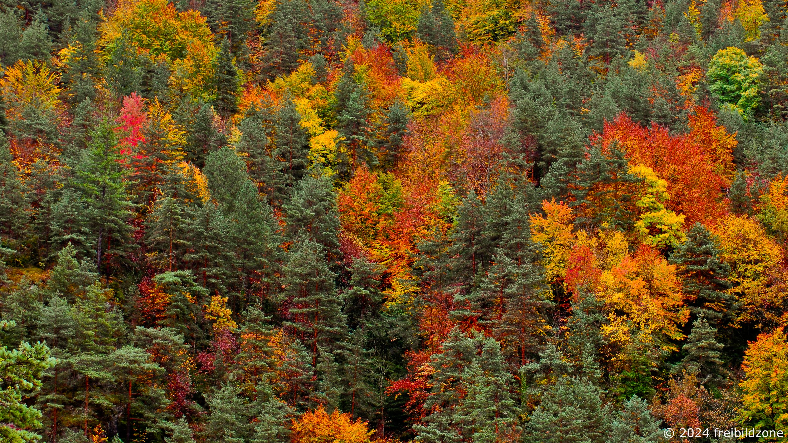Cévennes en automne, France Cévennes en automne, France
