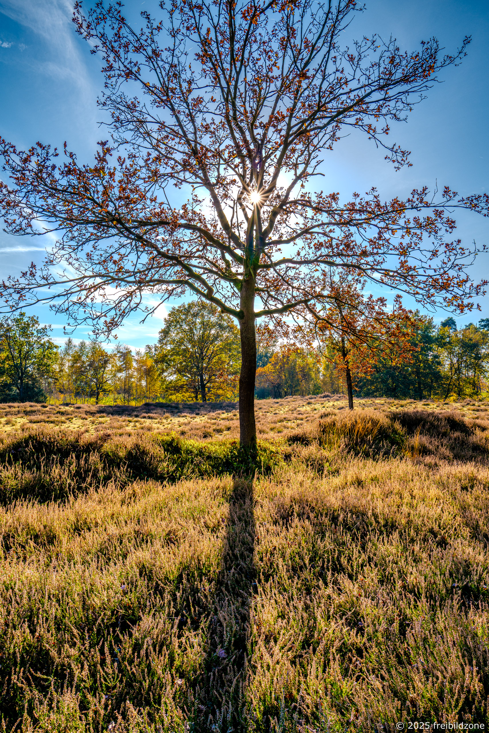 Heidelandschaft, Achmer Grasmoor Heidelandschaft, Achmer Grasmoor