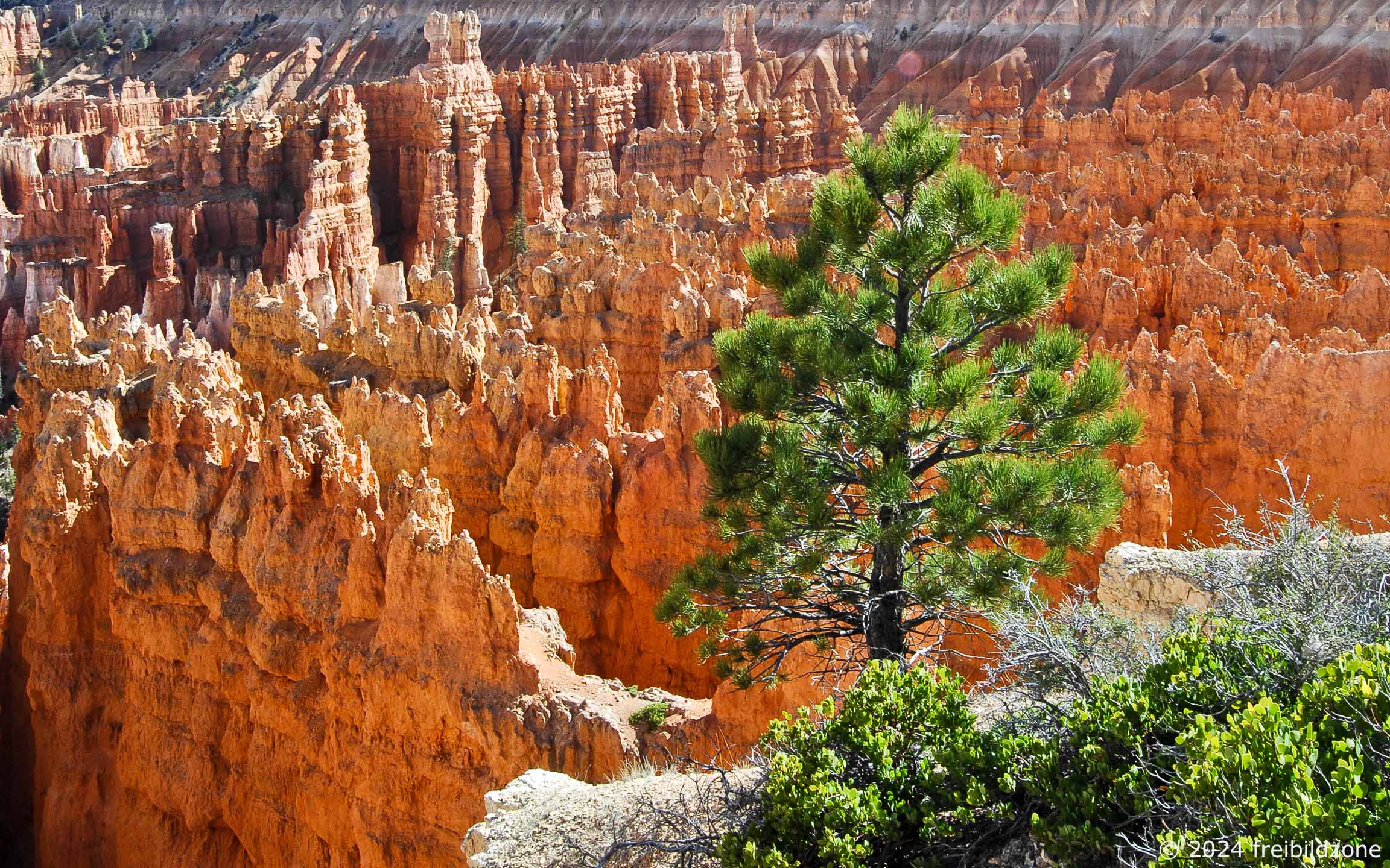 Bryce Canyon, USA