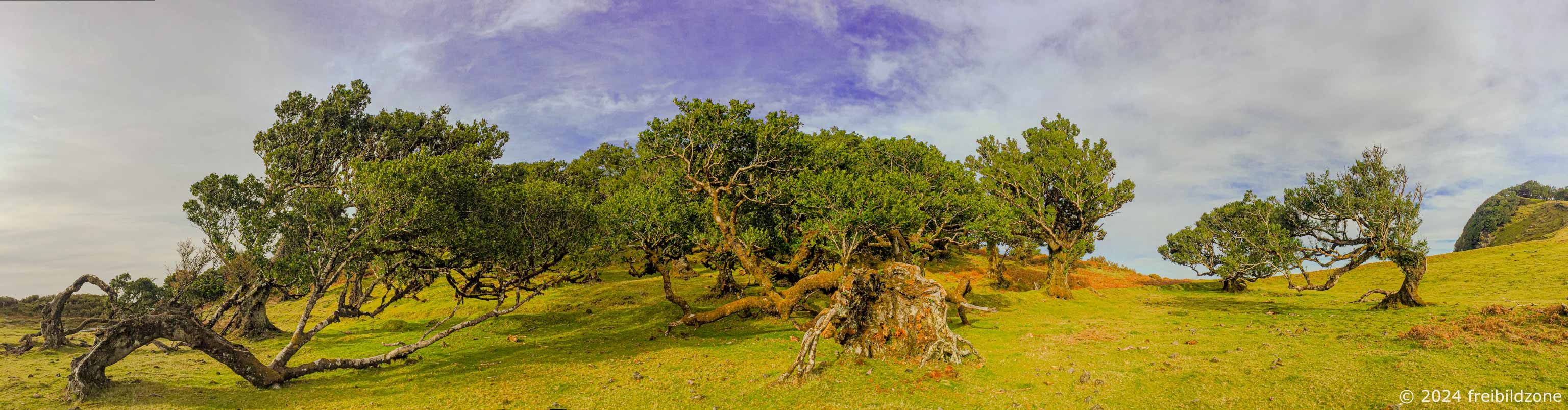 Fanal, Portugal