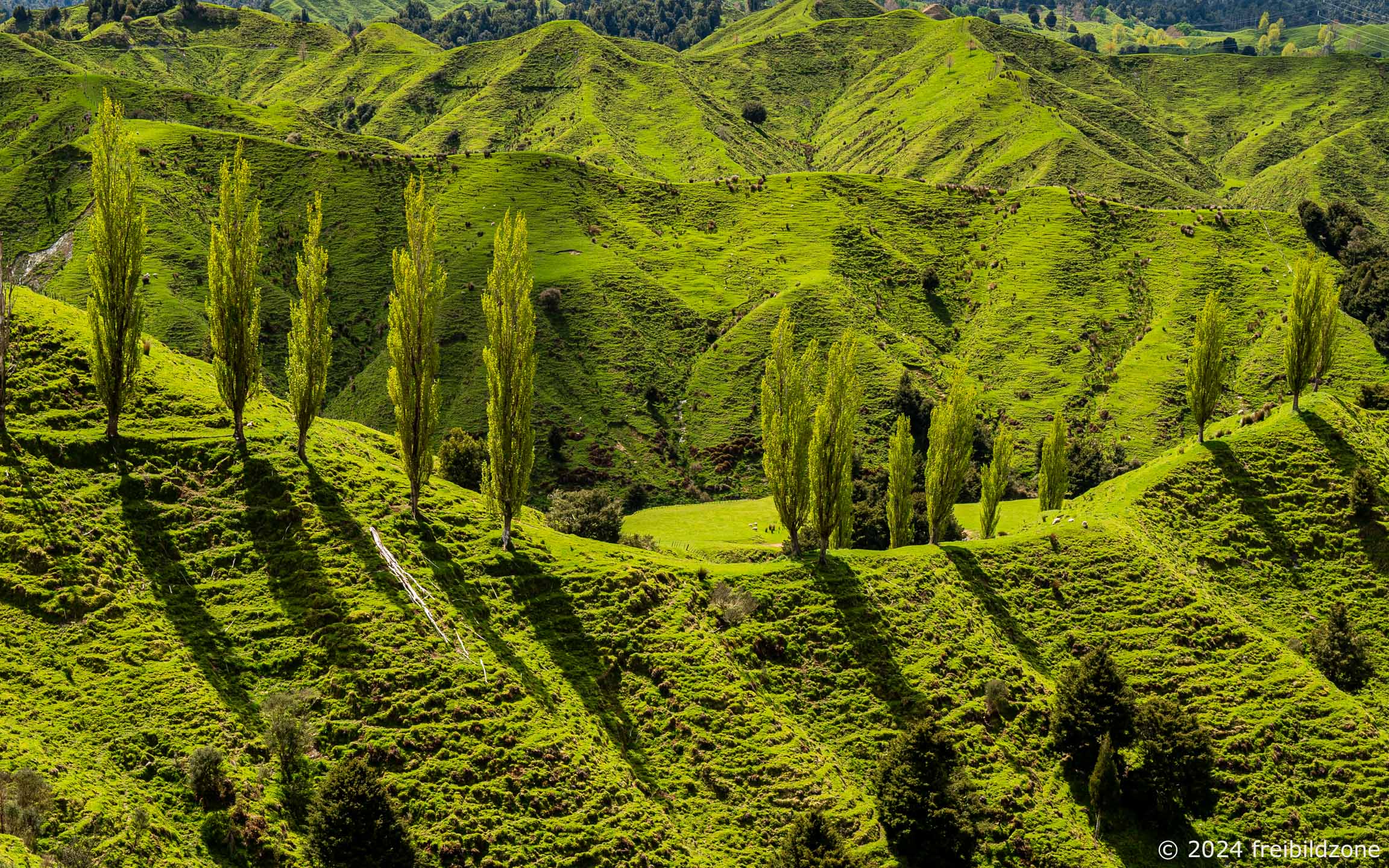 Manawatu-Wanganui