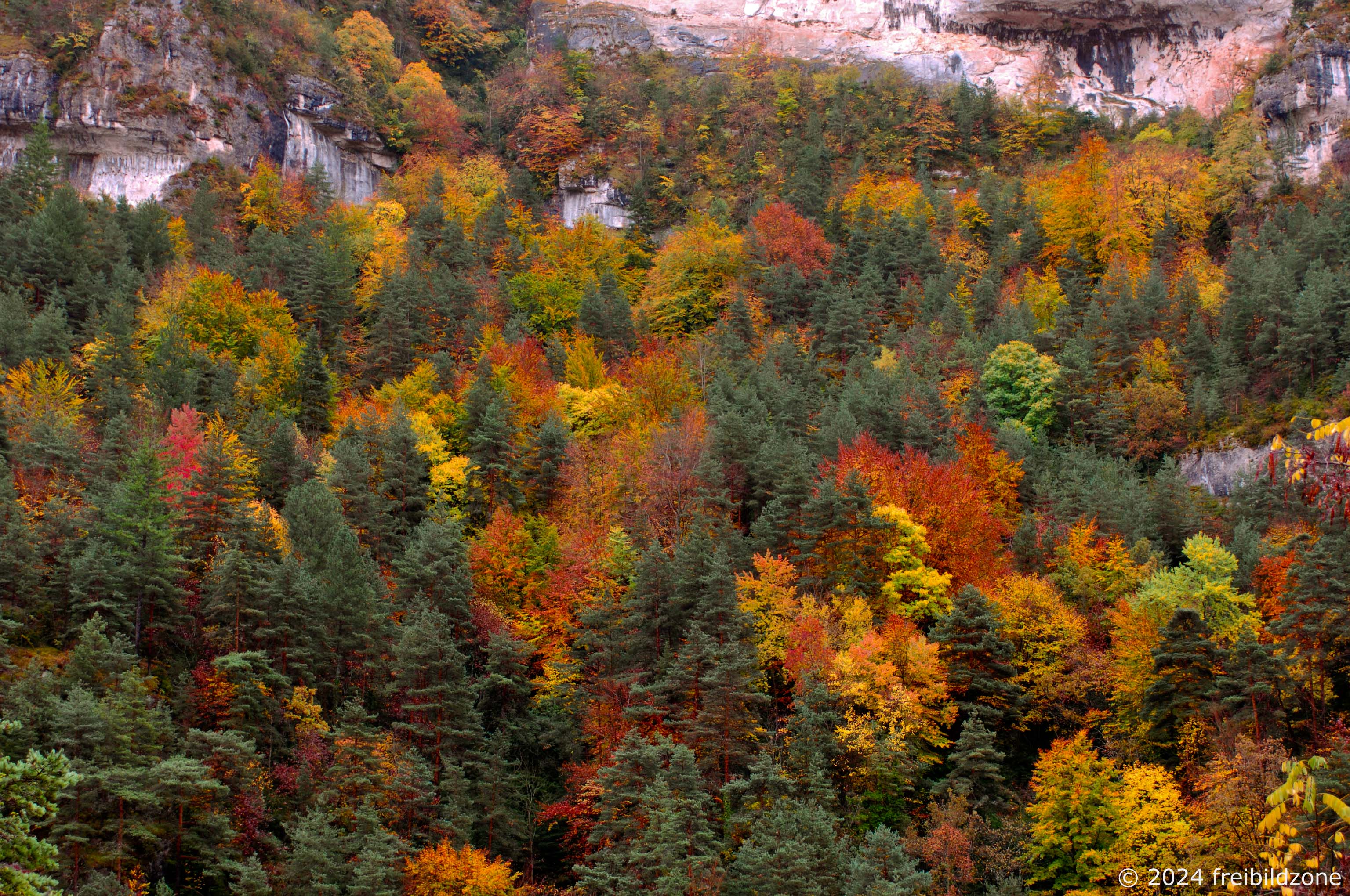 Cévennes, France