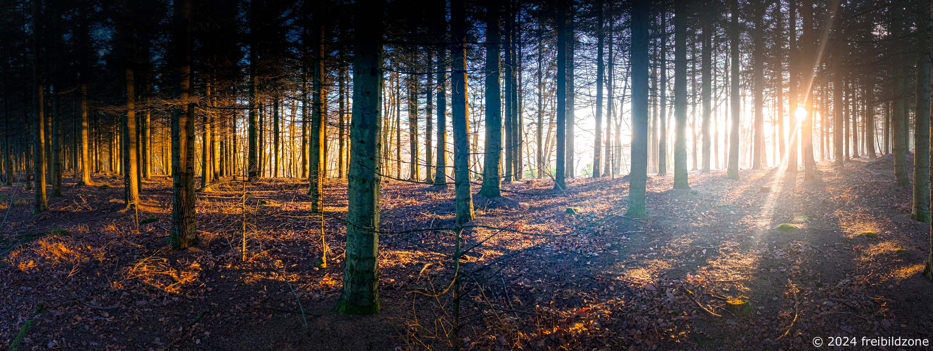 Teutoburg Forest, Germany