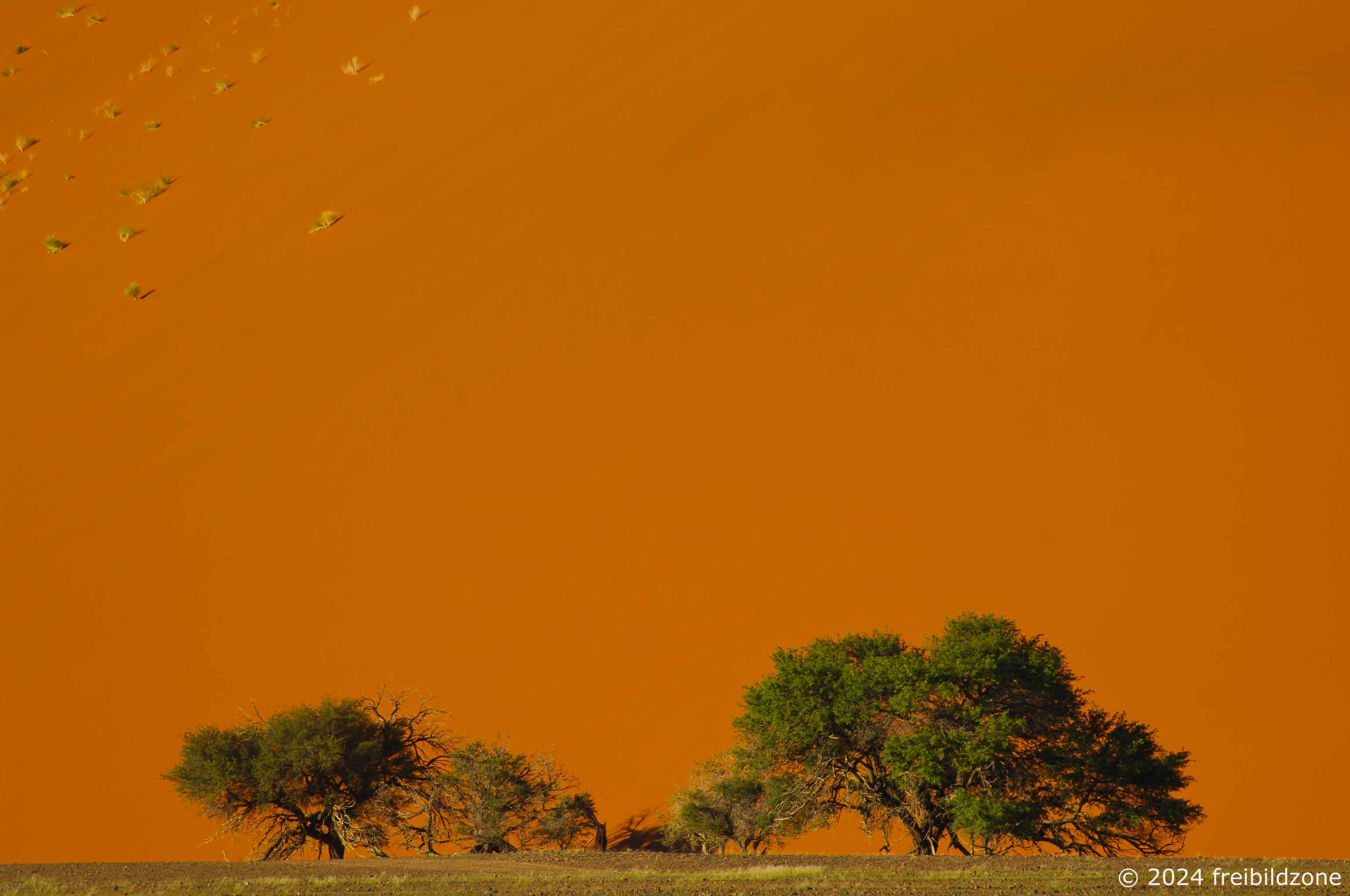 Sossusvlei, Namibia