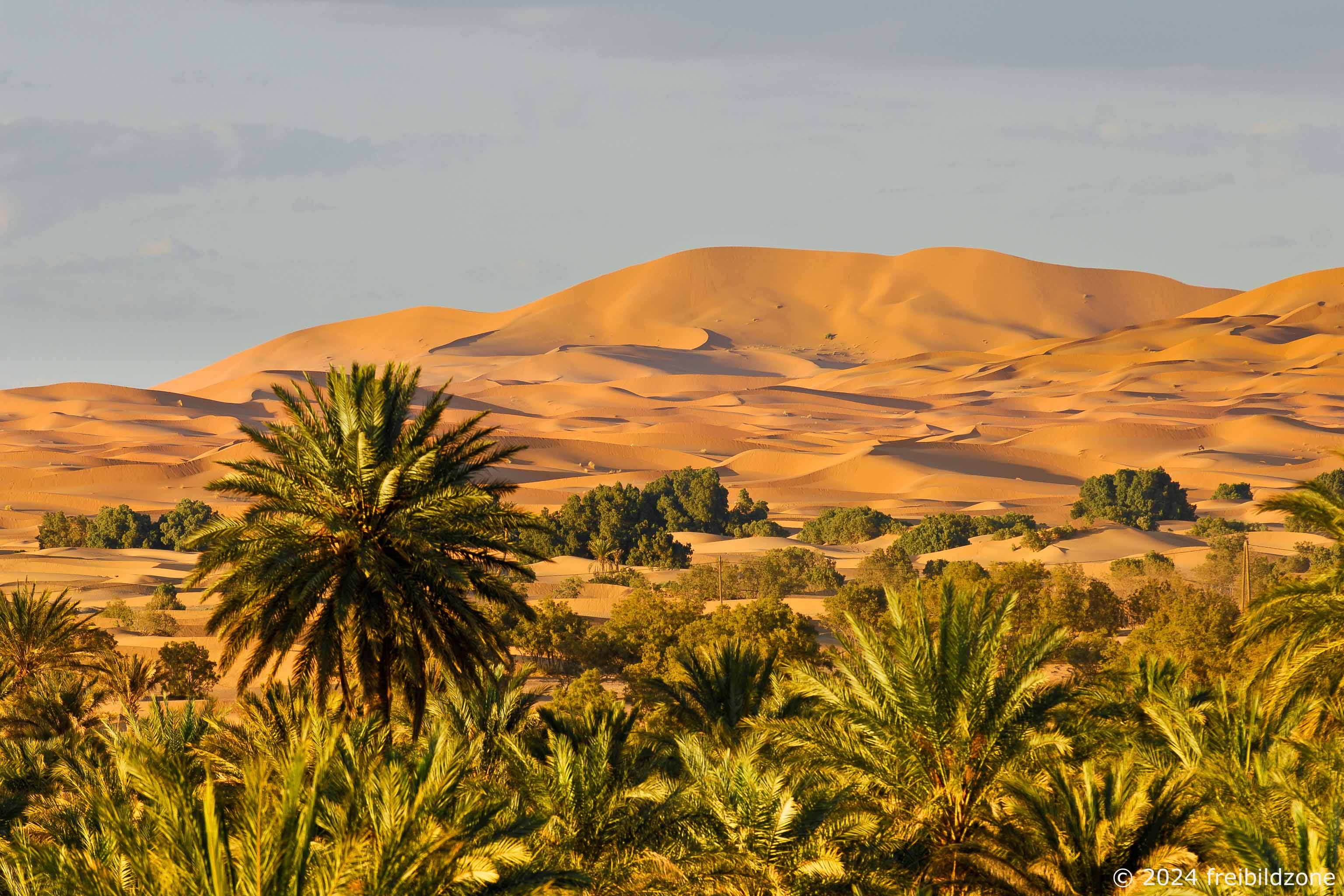 Sahara, Morocco