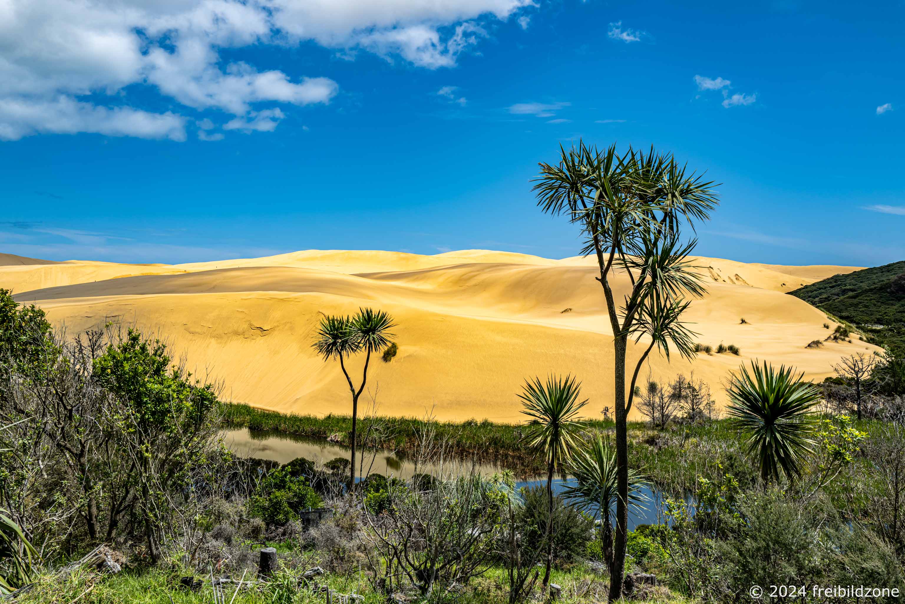 Te Paki Dune, New Zealand