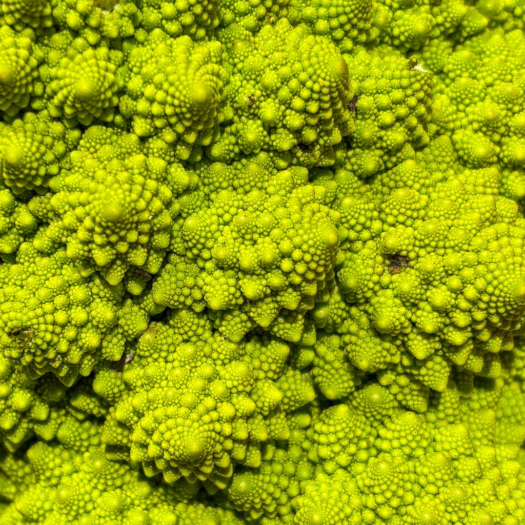 Fraktale Struktur - Romanesco