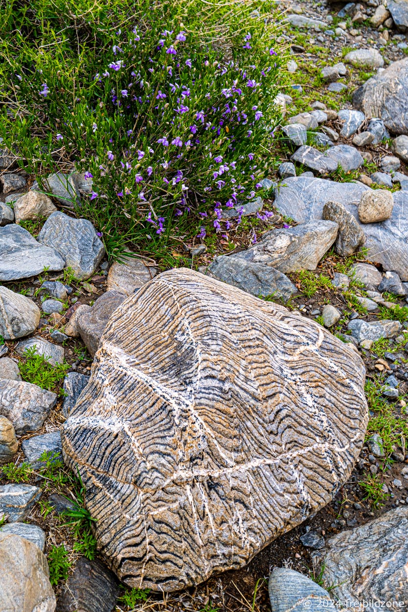 Stein, natürliches Muster, Valle Amaicha