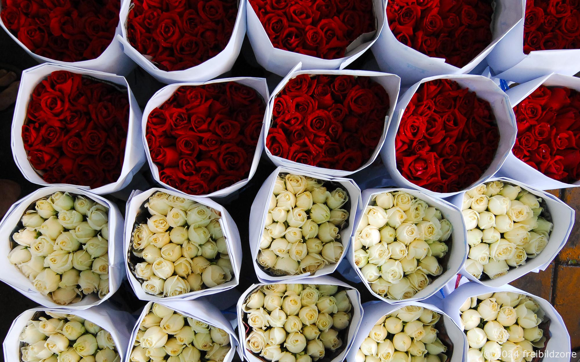 Flower market, Bangkok