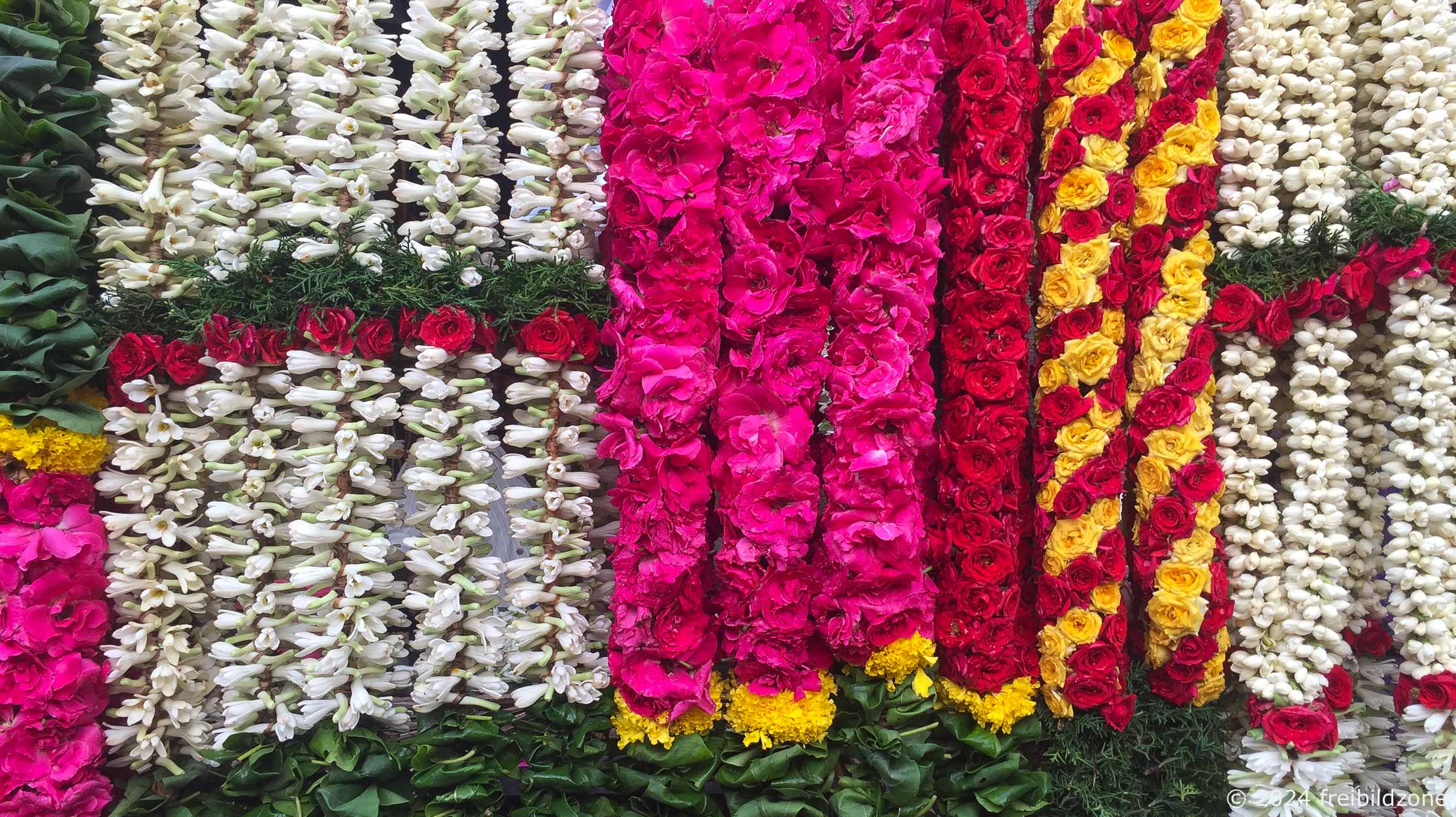 Offering flowers, Kapaliswarar-Tempel, Chennai, India
