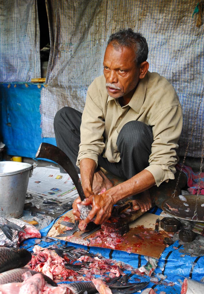 Fish merchant, Darjeeling, India