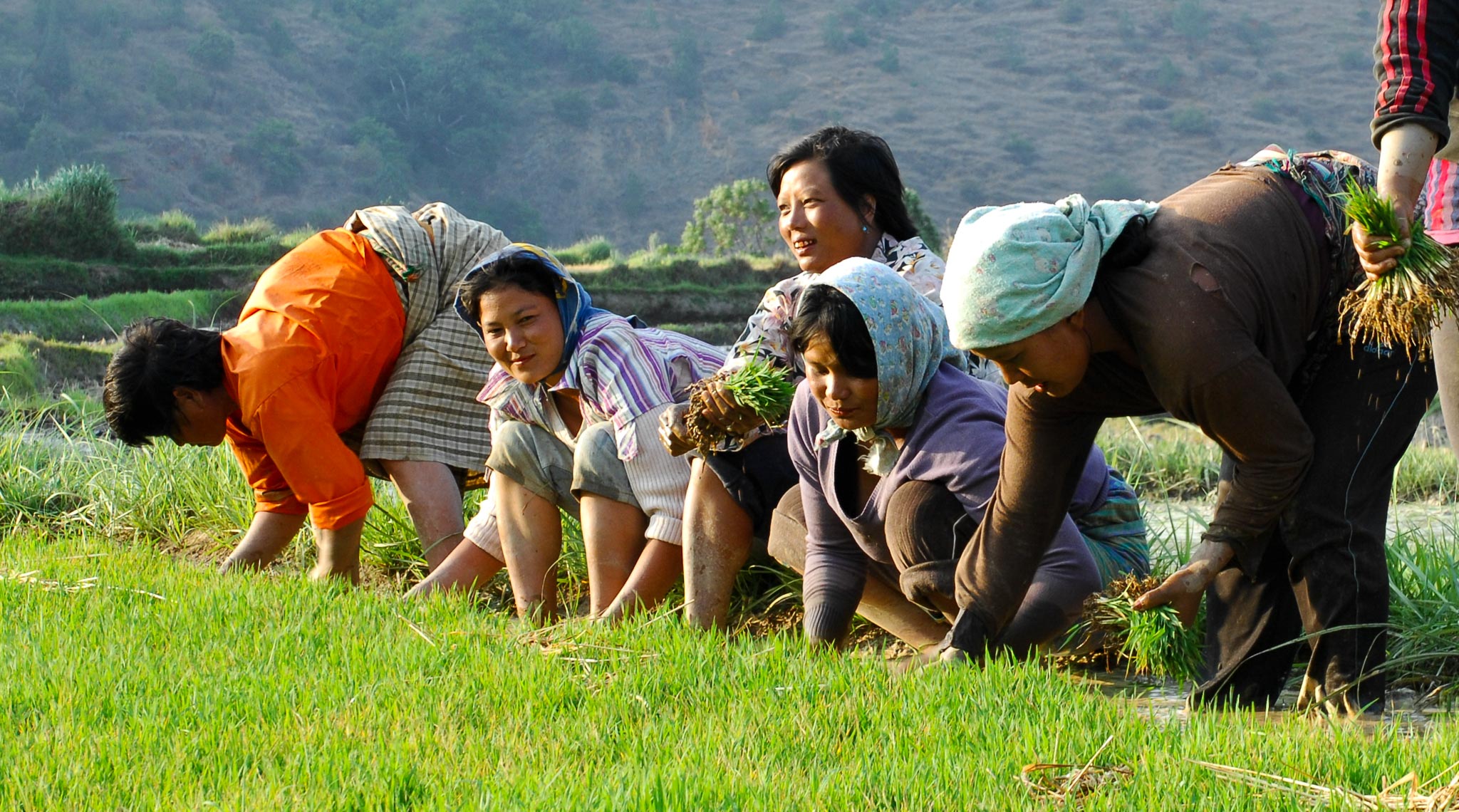 Paddy farmers, Bhutan