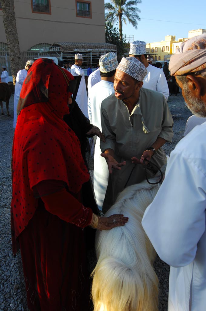 Cattle dealer, Nizwa, Oman