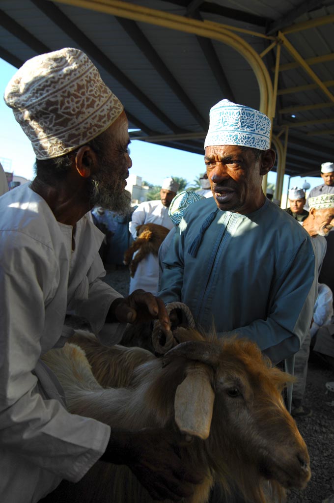 Cattle dealer, Nizwa, Oman