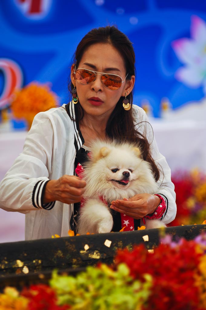 Woman with dog offers at Wat Pho, Bangkok, Thailand